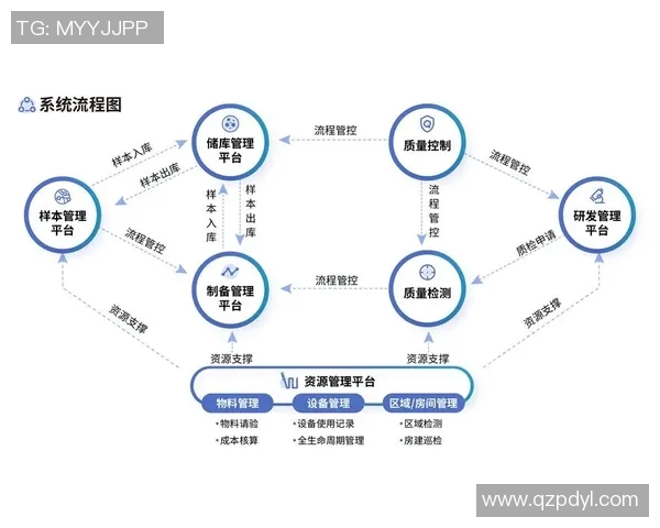 武汉网球队整体压制革新之路：重塑战术与团队协作的全新篇章